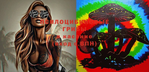 метадон Дмитров
