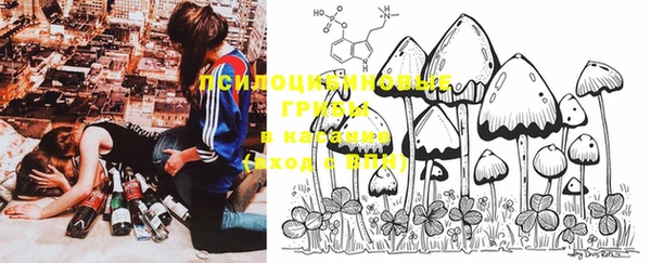 PSILOCYBIN Дмитровск