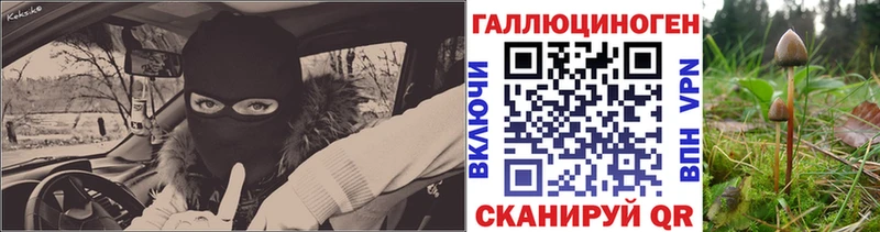 Псилоцибиновые грибы прущие грибы  Купить где  Камешково 